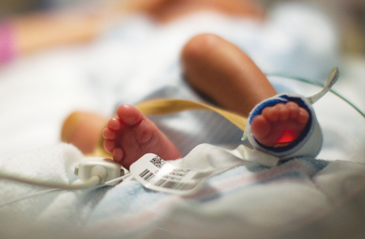 Albany Medical Center